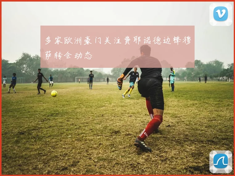 多家欧洲豪门关注费耶诺德边锋穆萨转会动态